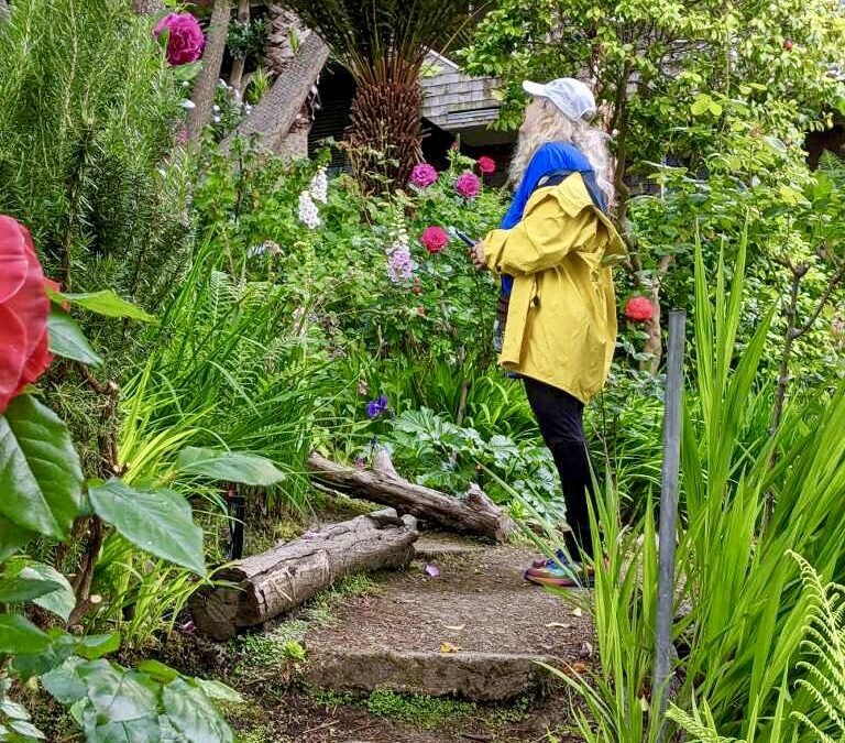 The Garden of Curiosity